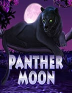 เว็บ พนัน ที่ รับ วอ ล เลท รวมสล็อตจาก PG Slot